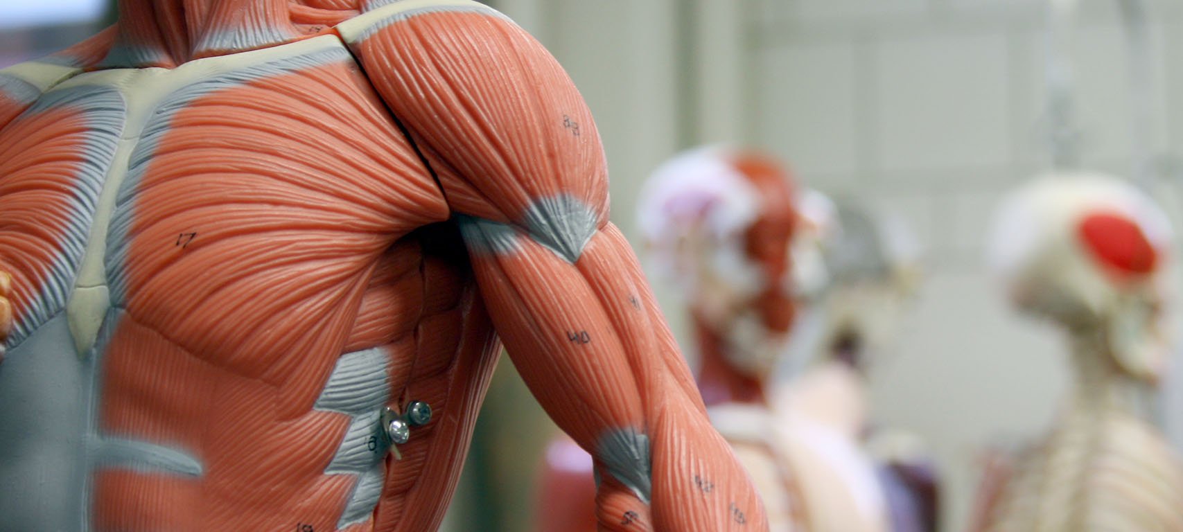 2310_UNIE_Imagenes_webTMO_INNO_1280x576 2310_UNIE_Imagenes_webTMO_INNO_1280x576