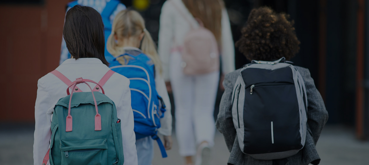 Header educación primaria online