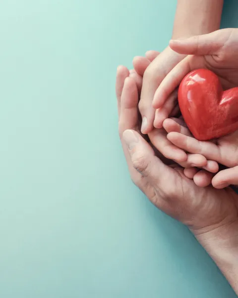 blog-biomedicina