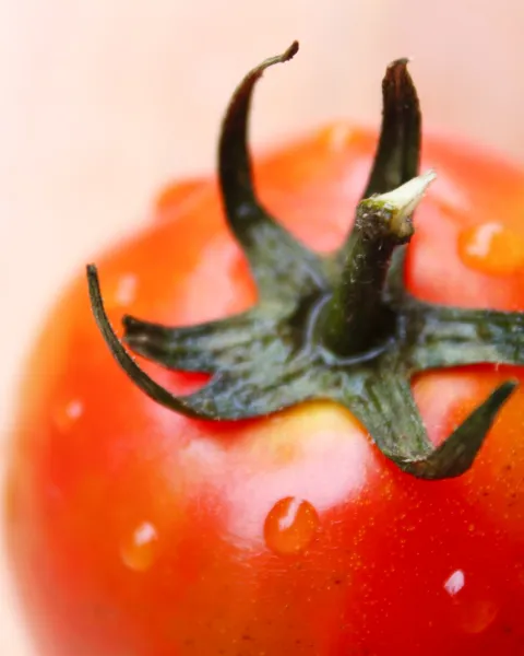 Los secretos del método pomodoro.