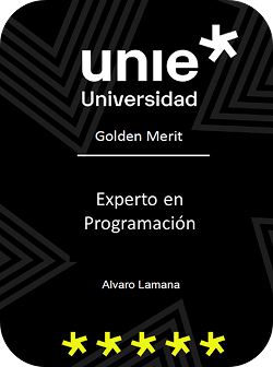 Experto en programación