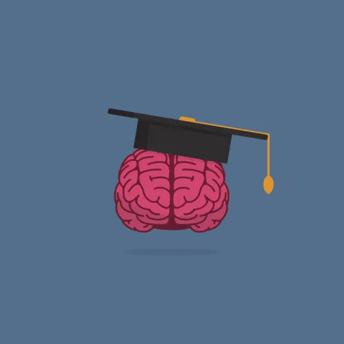Blog-neuroeducación-aprender-etapas-educativas
