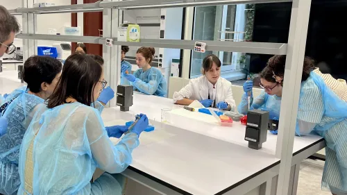 Noche de investigadores Noche de investigadores
